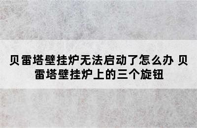 贝雷塔壁挂炉无法启动了怎么办 贝雷塔壁挂炉上的三个旋钮